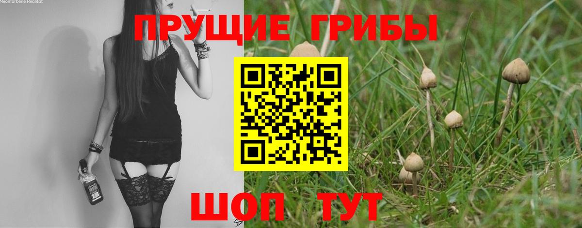 Подольск  что такое наркотик  Вход с VPN  Галлюциногенные грибы MAGIC MUSHROOMS 